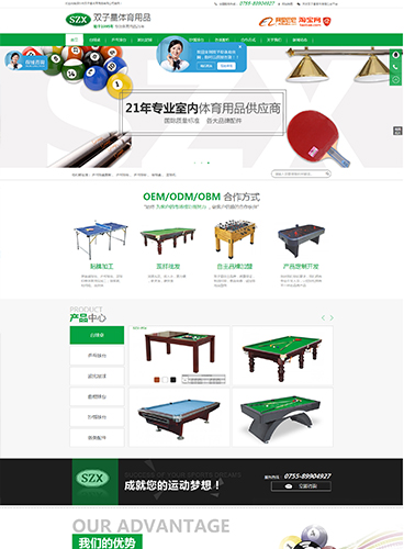 雙子星體育用品營(yíng)銷型網(wǎng)站案例